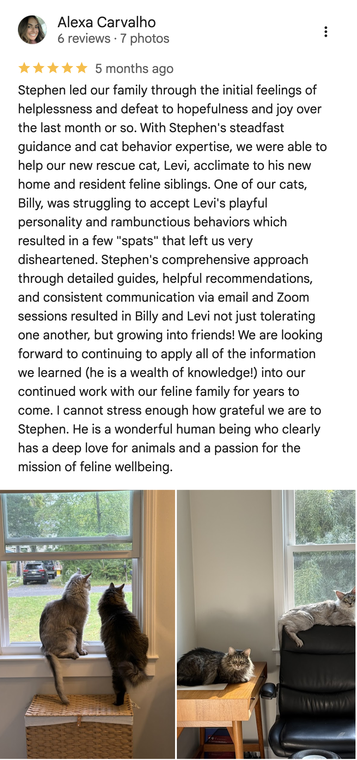 Google Review from Alexa Carvalho