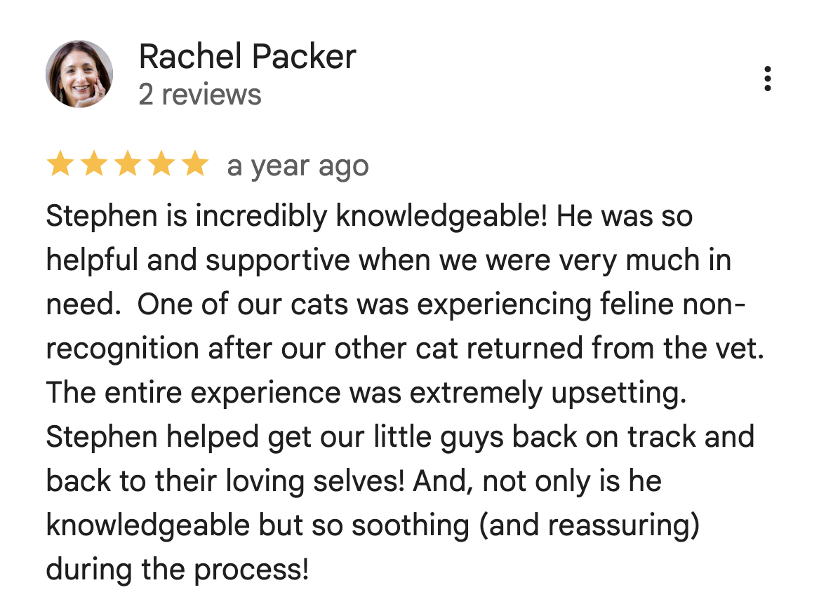 Google Review from Rachel Packer